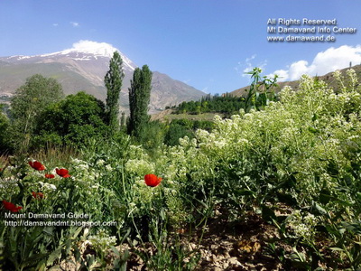 Natural Beauty of Mount Damavand